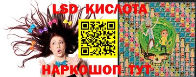 прущие грибы Тверь