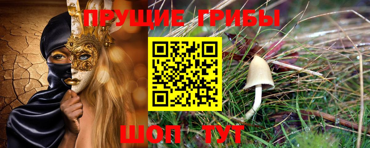 Галлюциногенные грибы прущие грибы  Вход с VPN  Вязьма 
