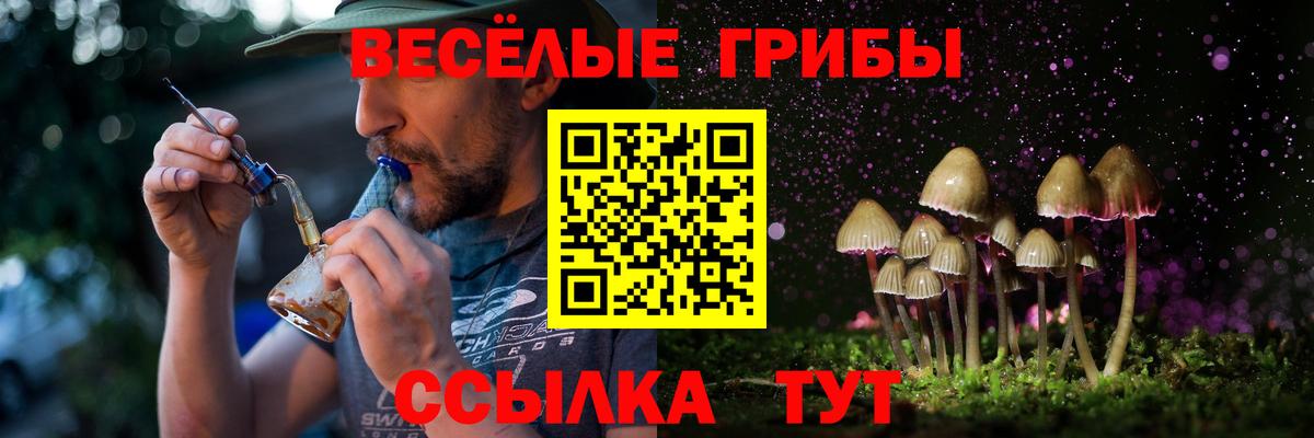 Галлюциногенные грибы прущие грибы Вязьма